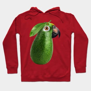 Avocado Parrot merge Hoodie